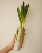 Leek Vase