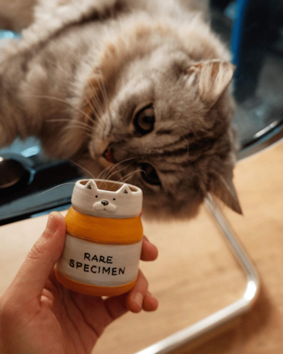 'Rare Specimen' Whisker Pill Bottle